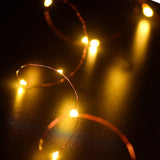MSC 100 LED USB Powered 10M 8 Function Warm White Coloured String Fairy Light